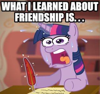 what i learned about friendship is... Blank Meme Template