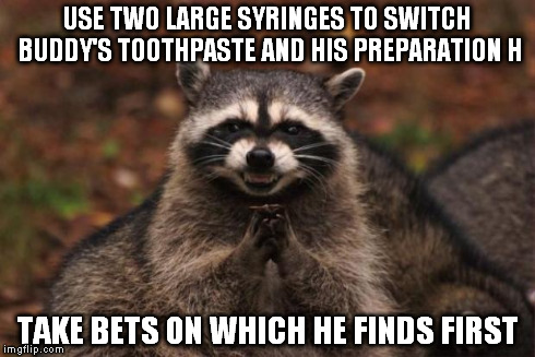 evil genius racoon | USE TWO LARGE SYRINGES TO SWITCH BUDDY'S TOOTHPASTE AND HIS PREPARATION H TAKE BETS ON WHICH HE FINDS FIRST | image tagged in evil genius racoon | made w/ Imgflip meme maker