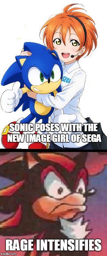 SONIC POSES WITH THE NEW IMAGE GIRL OF SEGA RAGE INTENSIFIES | image tagged in sonic,youre too slow sonic,shadow,anime | made w/ Imgflip meme maker