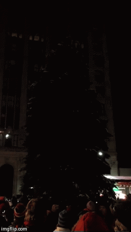 christmas tree lighting | image tagged in gifs | made w/ Imgflip video-to-gif maker