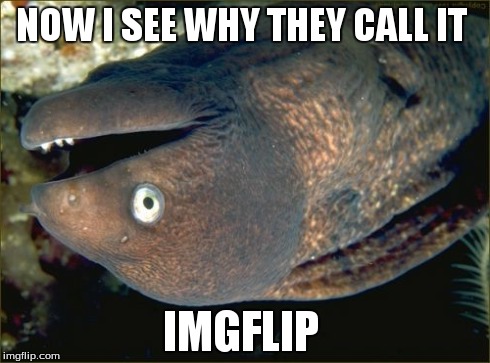 Bad Joke Eel | NOW I SEE WHY THEY CALL IT IMGFLIP | image tagged in memes,bad joke eel | made w/ Imgflip meme maker
