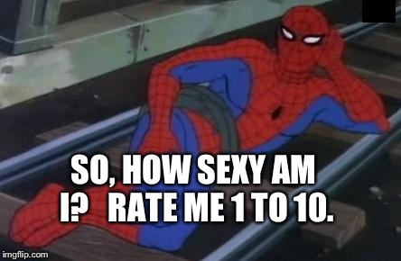 He knows that we know that he knows his a ten | SO, HOW SEXY AM I? 

RATE ME 1 TO 10. | image tagged in memes,sexy railroad spiderman,spiderman | made w/ Imgflip meme maker