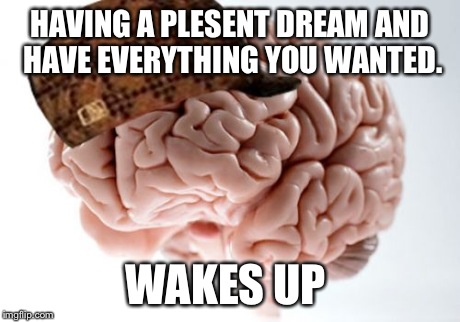Scumbag Brain | HAVING A PLESENT DREAM AND HAVE EVERYTHING YOU WANTED. WAKES UP | image tagged in memes,scumbag brain | made w/ Imgflip meme maker