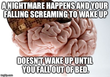 Scumbag Brain Meme Imgflip