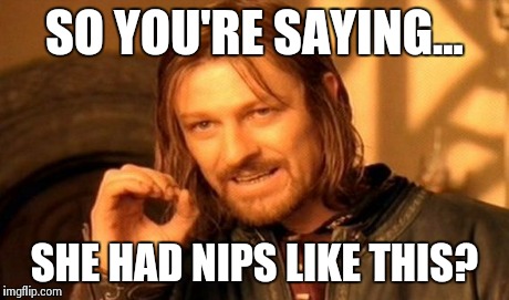 TiG oL nippies | SO YOU'RE SAYING... SHE HAD NIPS LIKE THIS? | image tagged in memes,one does not simply | made w/ Imgflip meme maker