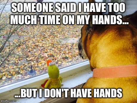 SOMEONE SAID I HAVE TOO MUCH TIME ON MY HANDS... ...BUT I DON'T HAVE HANDS | made w/ Imgflip meme maker