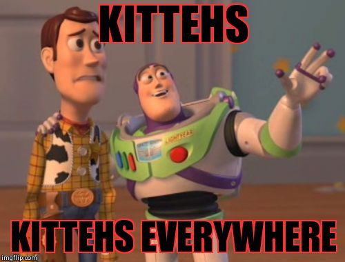 X, X Everywhere Meme | KITTEHS  KITTEHS EVERYWHERE | image tagged in memes,x x everywhere | made w/ Imgflip meme maker