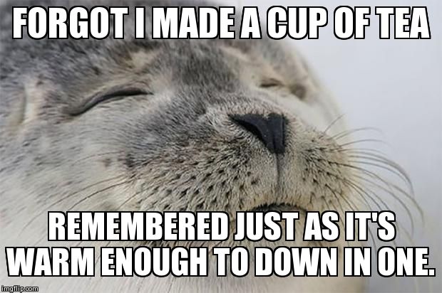 Satisfied Seal | FORGOT I MADE A CUP OF TEA REMEMBERED JUST AS IT'S WARM ENOUGH TO DOWN IN ONE. | image tagged in satisfied seal | made w/ Imgflip meme maker