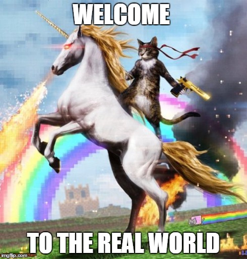 Welcome To The Internets | WELCOME TO THE REAL WORLD | image tagged in memes,welcome to the internets | made w/ Imgflip meme maker