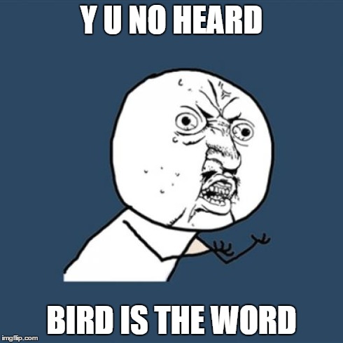 Y U No | Y U NO HEARD BIRD IS THE WORD | image tagged in memes,y u no | made w/ Imgflip meme maker