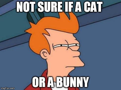 Futurama Fry Meme | NOT SURE IF A CAT OR A BUNNY | image tagged in memes,futurama fry | made w/ Imgflip meme maker
