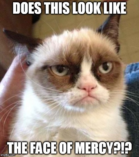 Grumpy Cat Reverse Meme | DOES THIS LOOK LIKE THE FACE OF MERCY?!? | image tagged in memes,grumpy cat reverse,grumpy cat | made w/ Imgflip meme maker