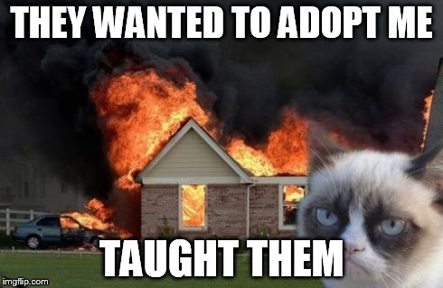 Burn Kitty | THEY WANTED TO ADOPT ME TAUGHT THEM | image tagged in memes,burn kitty | made w/ Imgflip meme maker