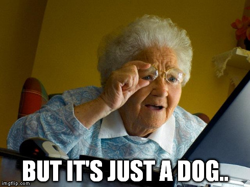 BUT IT'S JUST A DOG.. | image tagged in memes,grandma finds the internet | made w/ Imgflip meme maker