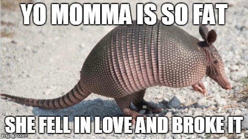 Yomarmadillo | YO MOMMA IS SO FAT SHE FELL IN LOVE AND BROKE IT | image tagged in funny | made w/ Imgflip meme maker