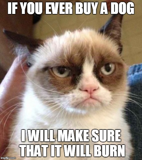 Grumpy Cat Reverse | IF YOU EVER BUY A DOG I WILL MAKE SURE THAT IT WILL BURN | image tagged in memes,grumpy cat reverse,grumpy cat | made w/ Imgflip meme maker
