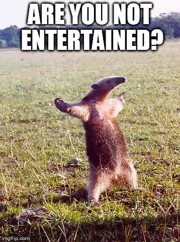 come at me anteater | ARE YOU NOT ENTERTAINED? | image tagged in come at me anteater | made w/ Imgflip meme maker