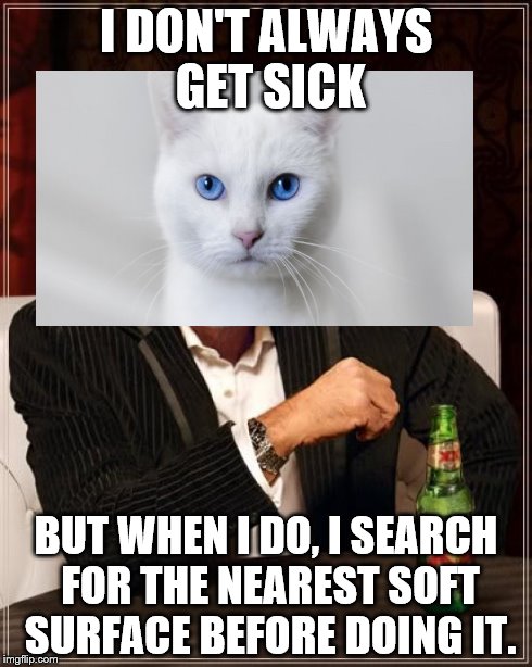 The Most Interesting Cat In The World | I DON'T ALWAYS GET SICK BUT WHEN I DO, I SEARCH FOR THE NEAREST SOFT SURFACE BEFORE DOING IT. | image tagged in memes,the most interesting man in the world | made w/ Imgflip meme maker