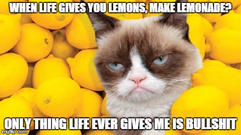 Grumpy Cat lemons | WHEN LIFE GIVES YOU LEMONS,
MAKE LEMONADE? ONLY THING LIFE EVER GIVES ME IS BULLSHIT | image tagged in grumpy cat lemons | made w/ Imgflip meme maker