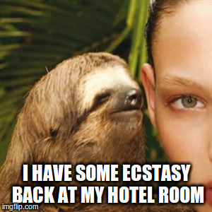 Whisper Sloth Meme | I HAVE SOME ECSTASY BACK AT MY HOTEL ROOM | image tagged in memes,whisper sloth | made w/ Imgflip meme maker