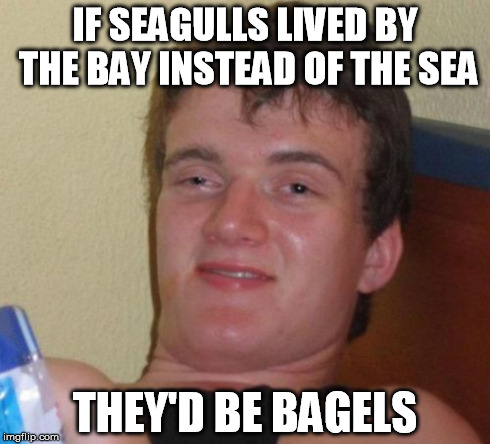 10 Guy | IF SEAGULLS LIVED BY THE BAY INSTEAD OF THE SEA THEY'D BE BAGELS | image tagged in memes,10 guy | made w/ Imgflip meme maker
