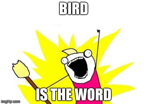 X All The Y Meme | BIRD IS THE WORD | image tagged in memes,x all the y | made w/ Imgflip meme maker