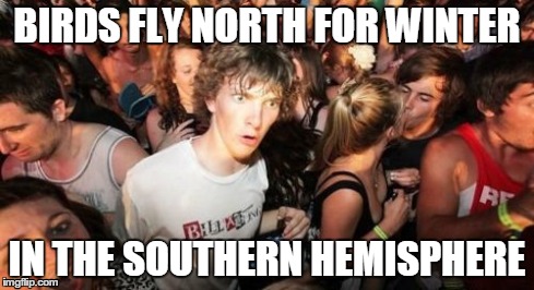 Sudden Clarity Clarence | BIRDS FLY NORTH FOR WINTER IN THE SOUTHERN HEMISPHERE | image tagged in memes,sudden clarity clarence | made w/ Imgflip meme maker