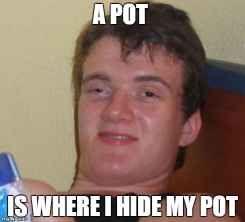 10 Guy | A POT IS WHERE I HIDE MY POT | image tagged in memes,10 guy | made w/ Imgflip meme maker