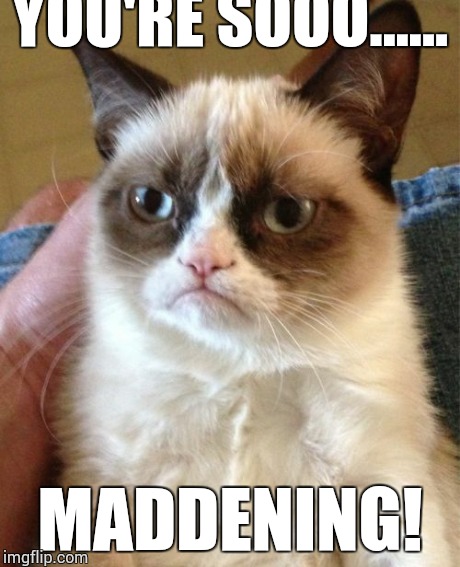 Grumpy Cat Meme | YOU'RE SOOO...... MADDENING! | image tagged in memes,grumpy cat | made w/ Imgflip meme maker