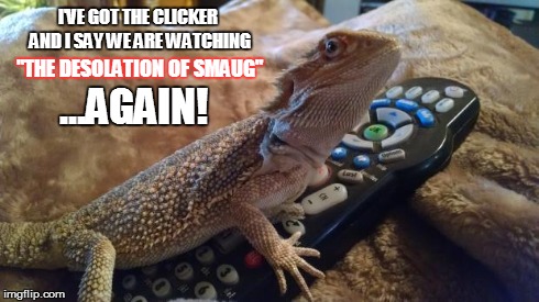 I'VE GOT THE CLICKER AND I SAY WE ARE WATCHING "THE DESOLATION OF SMAUG" ...AGAIN! | image tagged in dragon remote | made w/ Imgflip meme maker