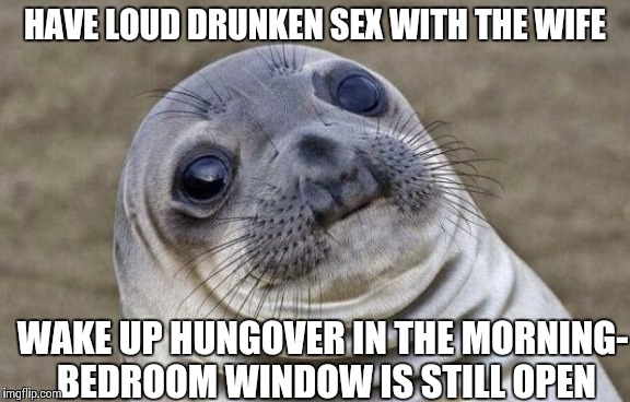 Awkward Moment Sealion Meme | HAVE LOUD DRUNKEN SEX WITH THE WIFE WAKE UP HUNGOVER IN THE MORNING- BEDROOM WINDOW IS STILL OPEN | image tagged in memes,awkward moment sealion,AdviceAnimals | made w/ Imgflip meme maker