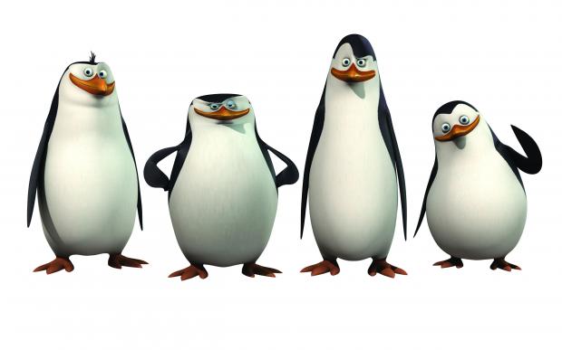 penguins Blank Meme Template