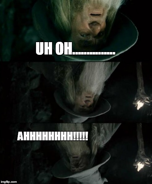 Confused Gandalf | UH OH............... AHHHHHHHH!!!!! | image tagged in memes,confused gandalf | made w/ Imgflip meme maker