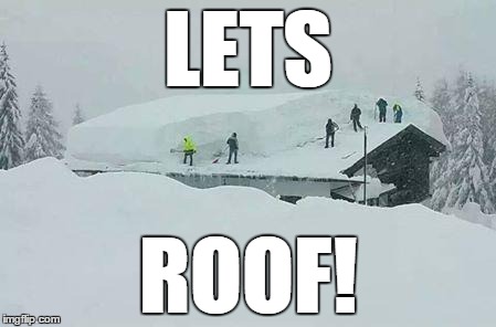 LETS ROOF! | image tagged in roof 5 | made w/ Imgflip meme maker