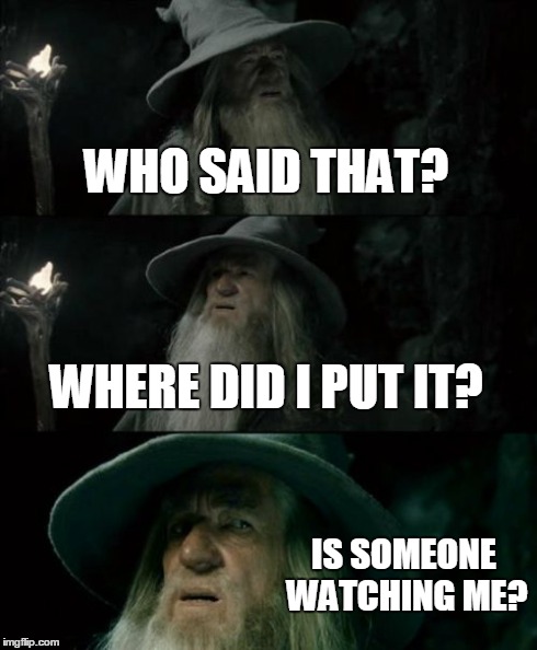 Confused Gandalf Meme | WHO SAID THAT? WHERE DID I PUT IT? IS SOMEONE WATCHING ME? | image tagged in memes,confused gandalf | made w/ Imgflip meme maker