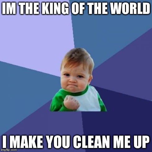 Success Kid | IM THE KING OF THE WORLD I MAKE YOU CLEAN ME UP | image tagged in memes,success kid | made w/ Imgflip meme maker