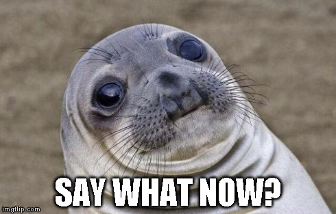 Awkward Moment Sealion Meme | SAY WHAT NOW? | image tagged in memes,awkward moment sealion | made w/ Imgflip meme maker