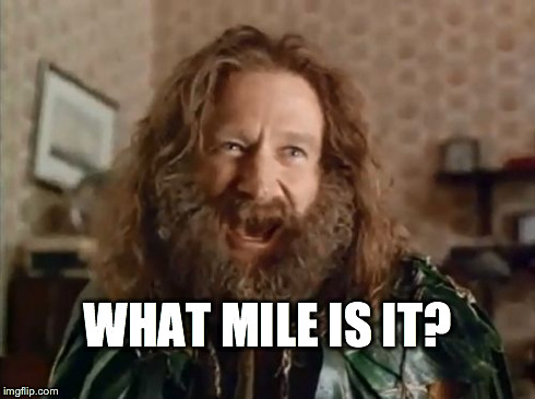 What Year Is It | WHAT MILE IS IT? | image tagged in memes,what year is it,AdviceAnimals | made w/ Imgflip meme maker