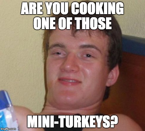 10 Guy | ARE YOU COOKING ONE OF THOSE MINI-TURKEYS? | image tagged in memes,10 guy | made w/ Imgflip meme maker