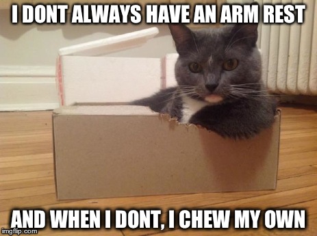 I DONT ALWAYS HAVE AN ARM REST AND WHEN I DONT, I CHEW MY OWN | made w/ Imgflip meme maker