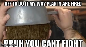 OFF TO DO IT MY WAY PLANTS ARE FIRED BRUH YOU CANT FIGHT | image tagged in https//encrypted-tbn3gstaticcom/imagesqtbnand9gcq4n1enravs | made w/ Imgflip meme maker
