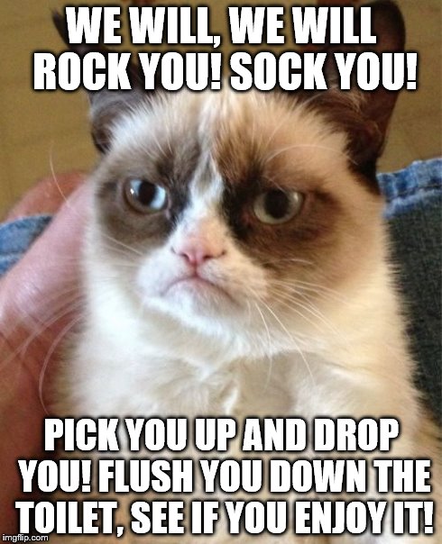 Grumpy Cat Meme | WE WILL, WE WILL ROCK YOU! SOCK YOU! PICK YOU UP AND DROP YOU! FLUSH YOU DOWN THE TOILET, SEE IF YOU ENJOY IT! | image tagged in memes,grumpy cat | made w/ Imgflip meme maker