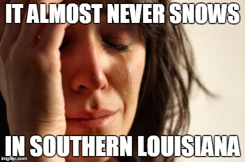 First World Problems Meme | IT ALMOST NEVER SNOWS IN SOUTHERN LOUISIANA | image tagged in memes,first world problems | made w/ Imgflip meme maker