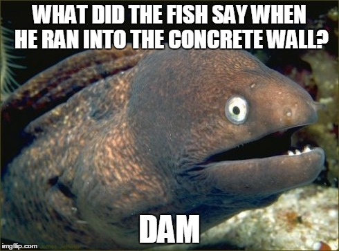 Bad Joke Eel Meme | WHAT DID THE FISH SAY WHEN HE RAN INTO THE CONCRETE WALL? DAM | image tagged in memes,bad joke eel | made w/ Imgflip meme maker