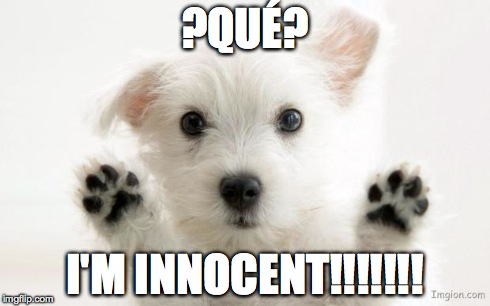 What?

I'm Innocent | ?QUÉ? I'M INNOCENT!!!!!!! | image tagged in fur babies | made w/ Imgflip meme maker