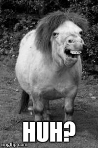 ugly horse | HUH? | image tagged in ugly horse | made w/ Imgflip meme maker