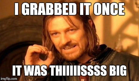 I GRABBED IT ONCE IT WAS THIIIIISSSS BIG | image tagged in memes,one does not simply | made w/ Imgflip meme maker