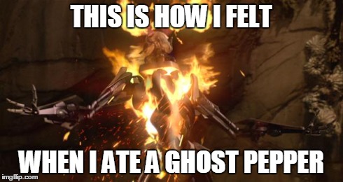Ghost Pepper | THIS IS HOW I FELT WHEN I ATE A GHOST PEPPER | image tagged in general,grievous,star,wars,meme,ghost | made w/ Imgflip meme maker