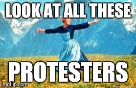 Look At All These | LOOK AT ALL THESE PROTESTERS | image tagged in memes,look at all these | made w/ Imgflip meme maker