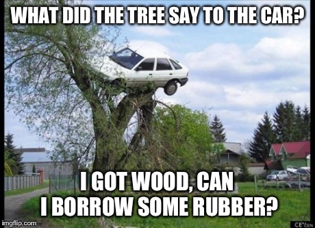 Sorry I know it's lame but It just pop up in my head | WHAT DID THE TREE SAY TO THE CAR? I GOT WOOD, CAN I BORROW SOME RUBBER? | image tagged in memes,secure parking | made w/ Imgflip meme maker